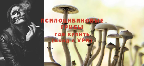 гашик Волоколамск