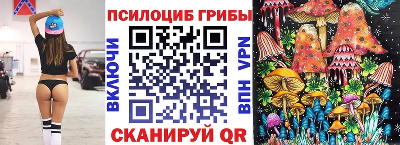 Галлюциногенные грибы Psilocybe  Купить где  Лиски 